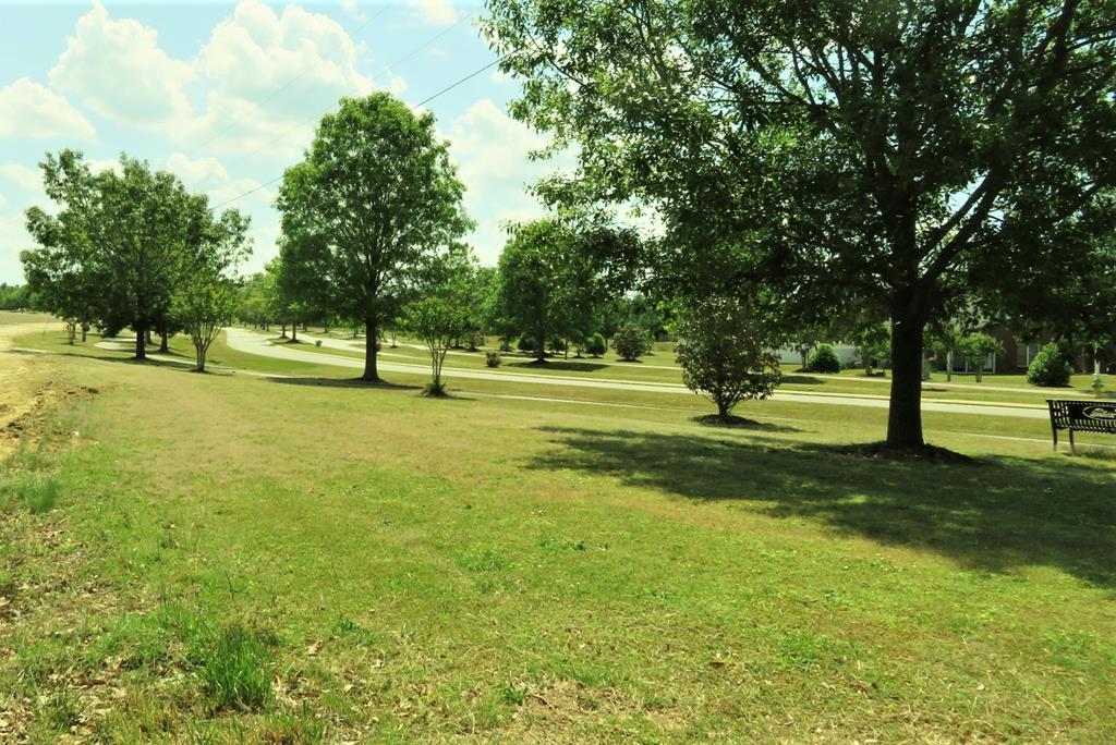 Acreage at 0 Highway 125, Roanoke Rapids NC 27870, photo 4 of 6