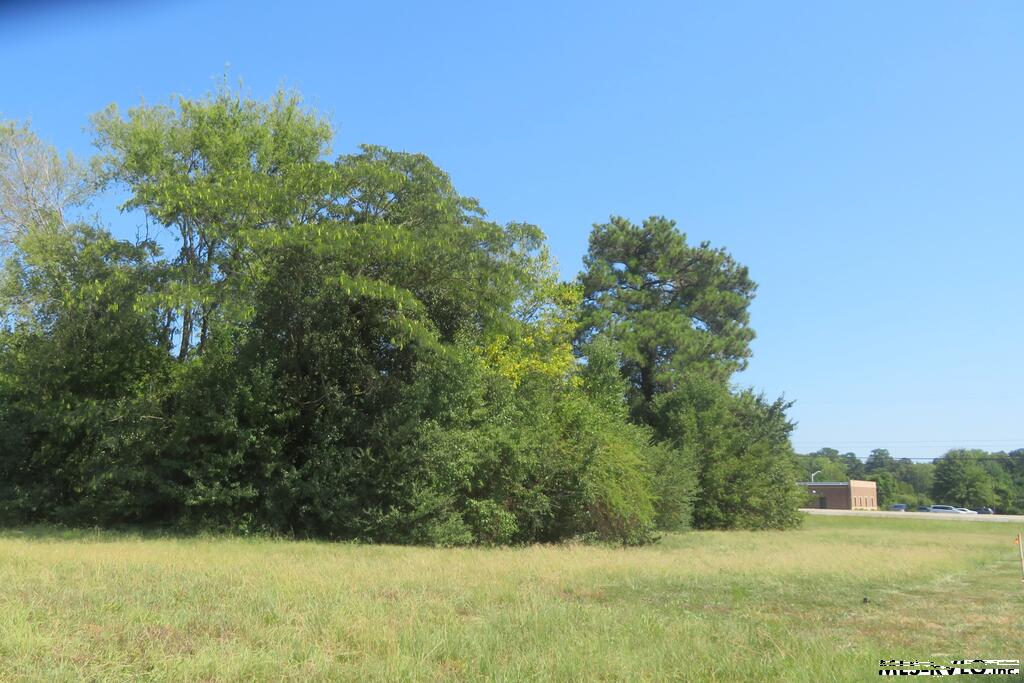 Acreage at 0 Highway 125, Roanoke Rapids NC 27870, photo 5 of 6