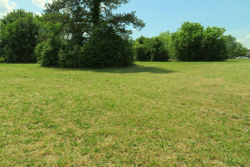 Acreage at 0 Highway 125, Roanoke Rapids NC 27870, photo 6 of 6