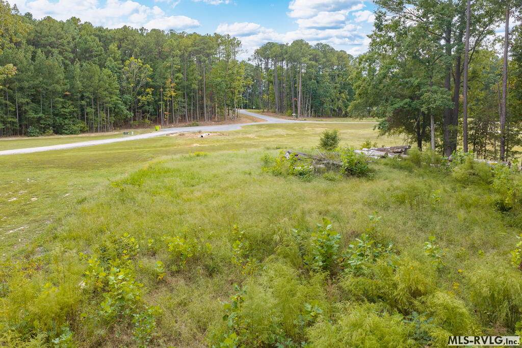 Residential Lot-Restricted at 165 Shearwater Ct, Littleton NC 27850, photo 10 of 20