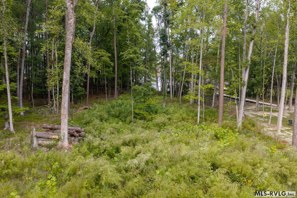 Residential Lot-Restricted at 165 Shearwater Ct, Littleton NC 27850, photo 9 of 20