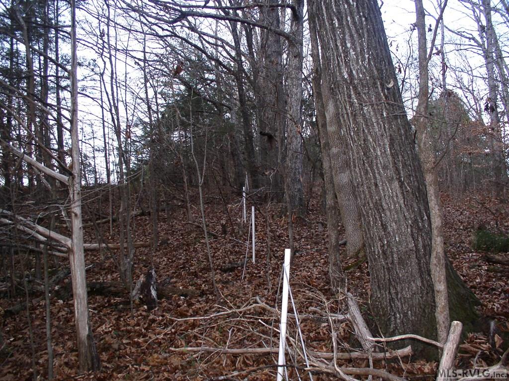 Residential Lot-Restricted at 00 Matthews Drive, Henderson NC 27537, photo 10 of 16