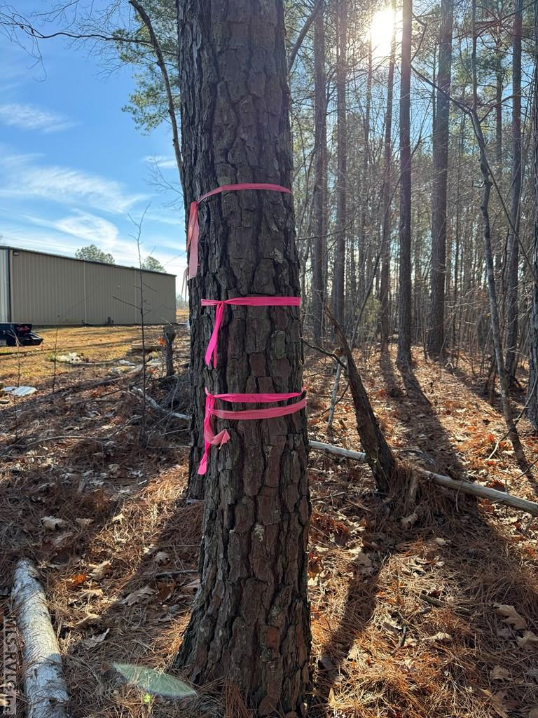 Residential Lot-Restricted at 00 Matthews Drive, Henderson NC 27537, photo 11 of 16