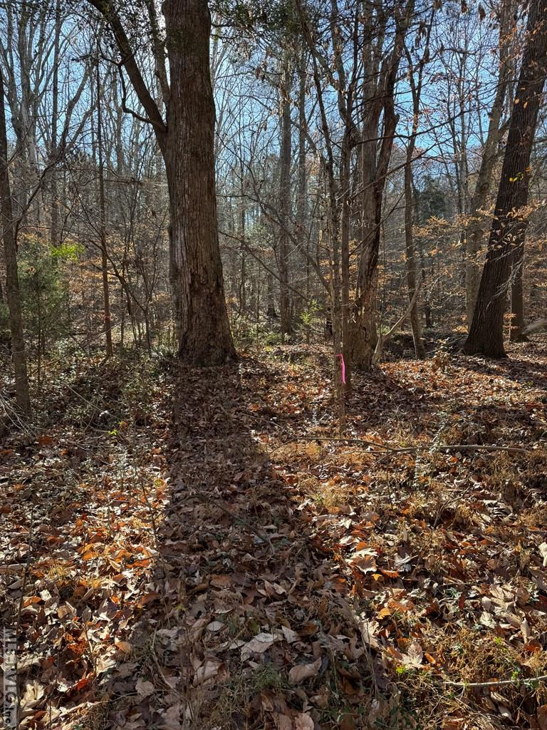 Residential Lot-Restricted at 00 Matthews Drive, Henderson NC 27537, photo 12 of 16