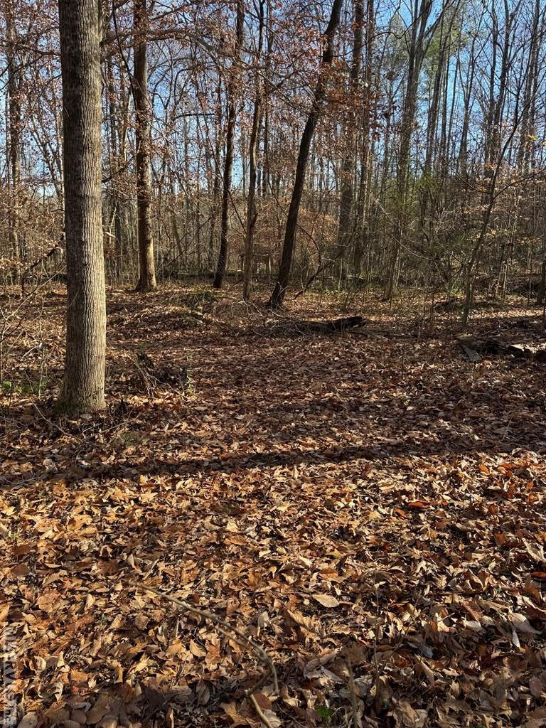 Residential Lot-Restricted at 00 Matthews Drive, Henderson NC 27537, photo 13 of 16