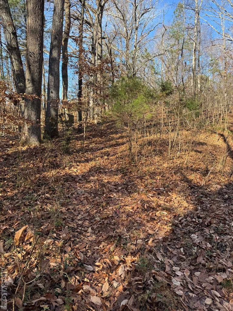 Residential Lot-Restricted at 00 Matthews Drive, Henderson NC 27537, photo 14 of 16