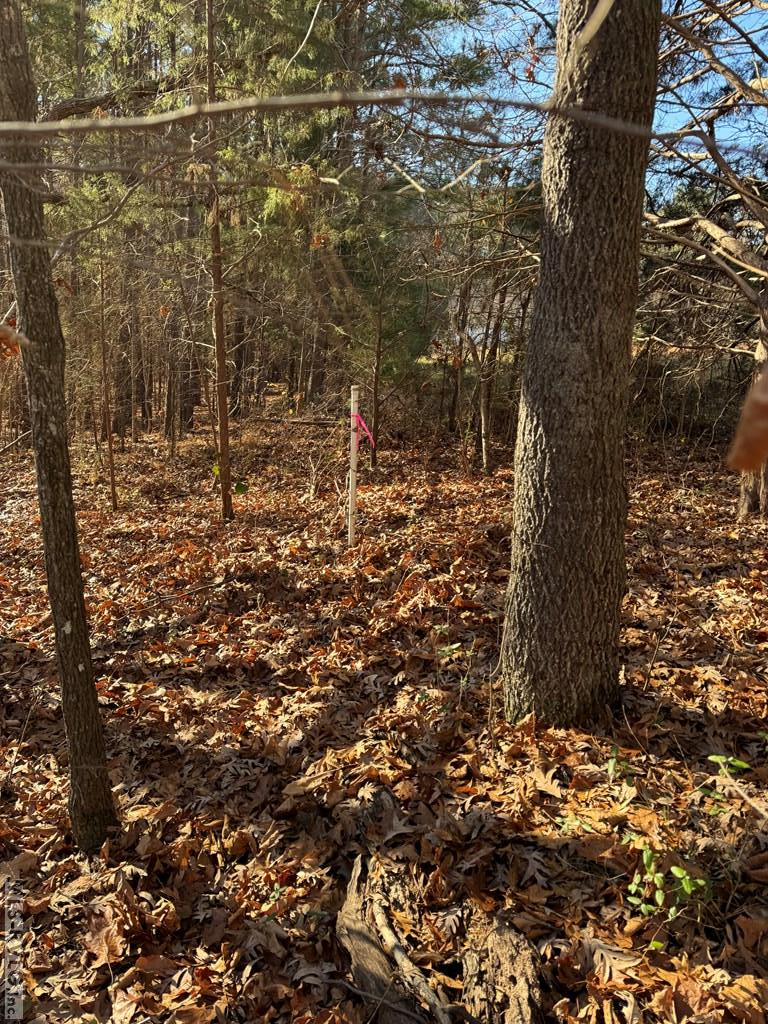 Residential Lot-Restricted at 00 Matthews Drive, Henderson NC 27537, photo 4 of 16