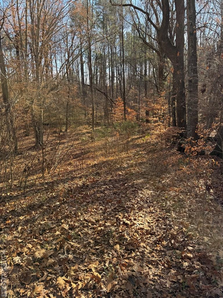 Residential Lot-Restricted at 00 Matthews Drive, Henderson NC 27537, photo 5 of 16