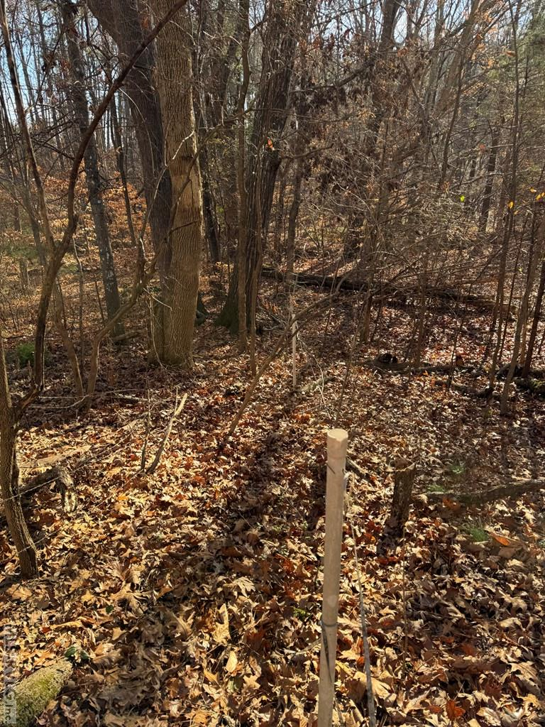 Residential Lot-Restricted at 00 Matthews Drive, Henderson NC 27537, photo 6 of 16