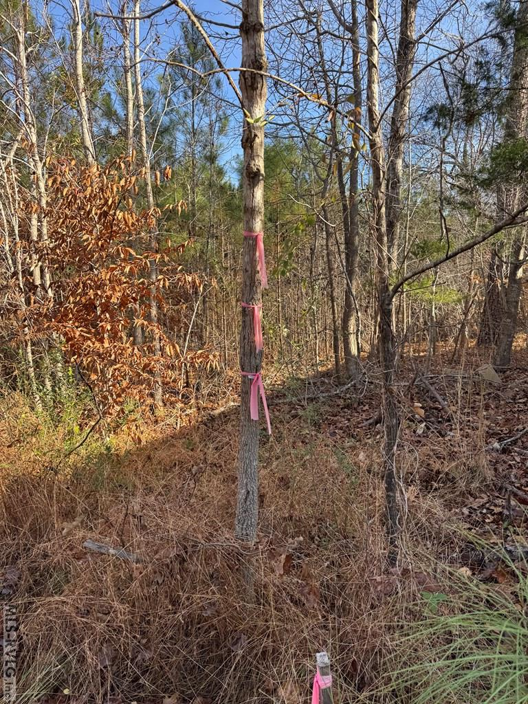 Residential Lot-Restricted at 00 Matthews Drive, Henderson NC 27537, photo 7 of 16