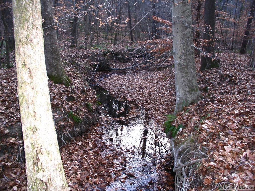 Residential Lot-Restricted at 00 Matthews Drive, Henderson NC 27537, photo 9 of 16
