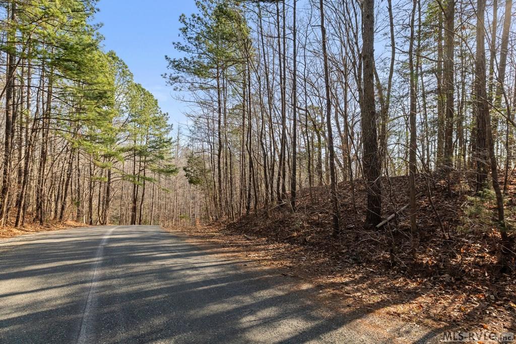 Residential Lot-Restricted at LOT 47 Buckhead Drive, Bracey VA 23919, photo 24 of 25