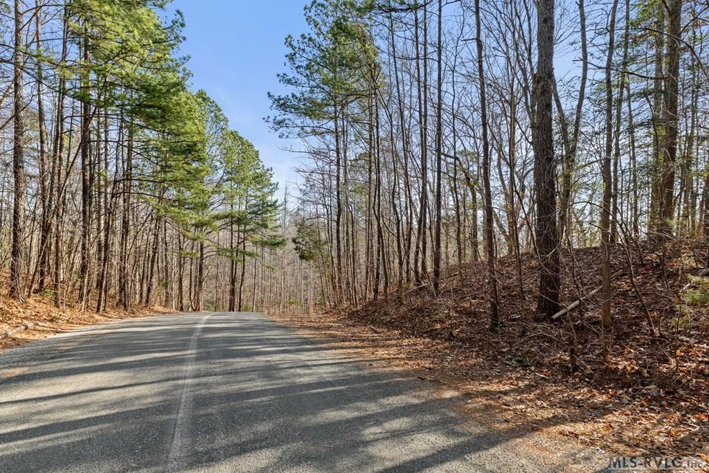 Residential Lot-Restricted at LOT 47 Buckhead Drive, Bracey VA 23919, photo 25 of 25