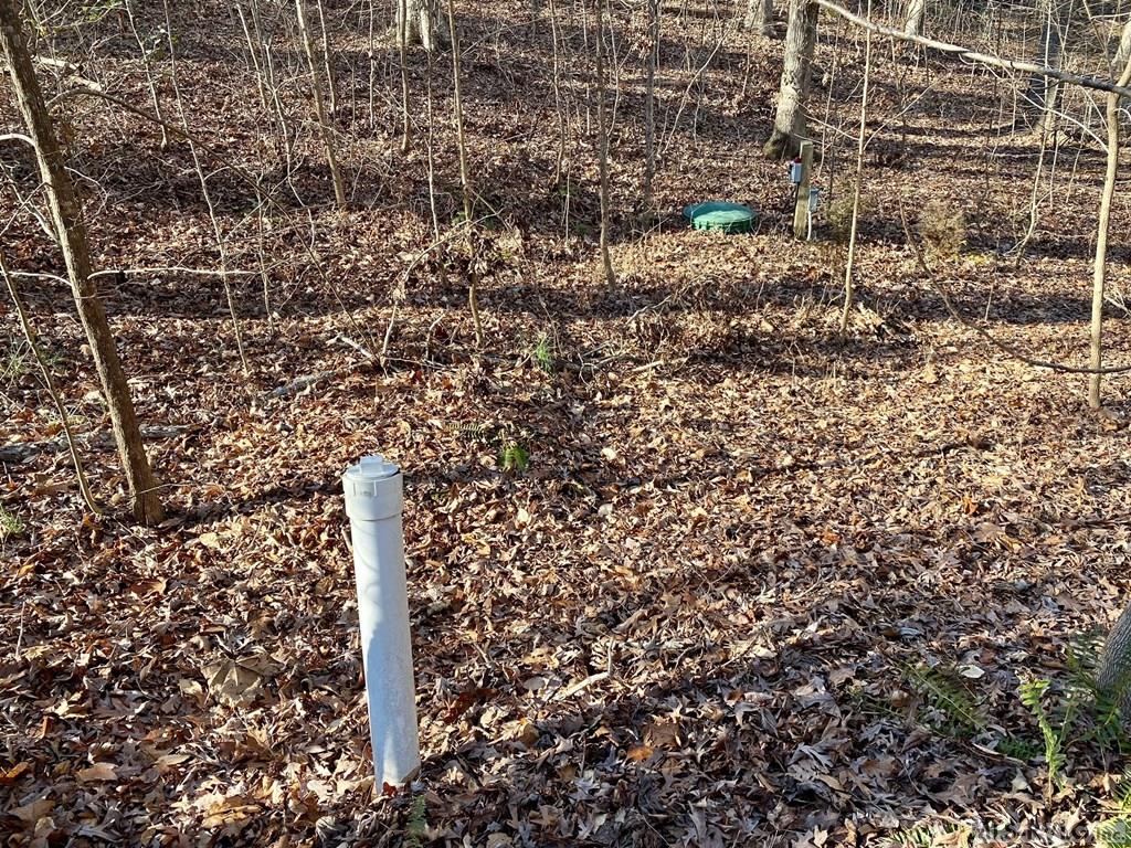Residential Lot-Restricted at Lot 45 Buffalo Drive, Buffalo Junction VA 24529, photo 10 of 21