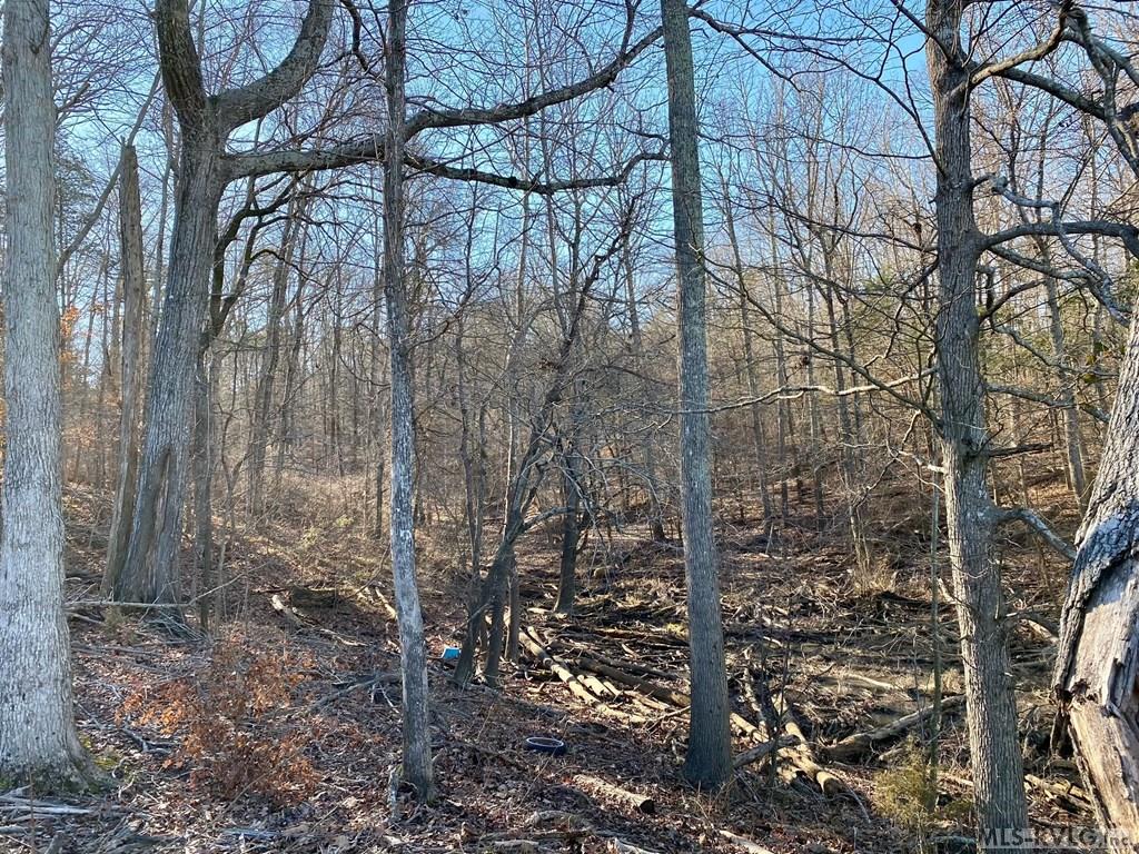 Residential Lot-Restricted at Lot 45 Buffalo Drive, Buffalo Junction VA 24529, photo 11 of 21