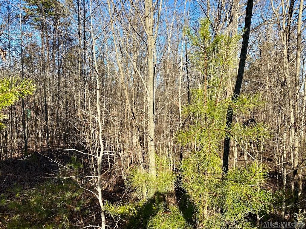 Residential Lot-Restricted at Lot 45 Buffalo Drive, Buffalo Junction VA 24529, photo 15 of 21