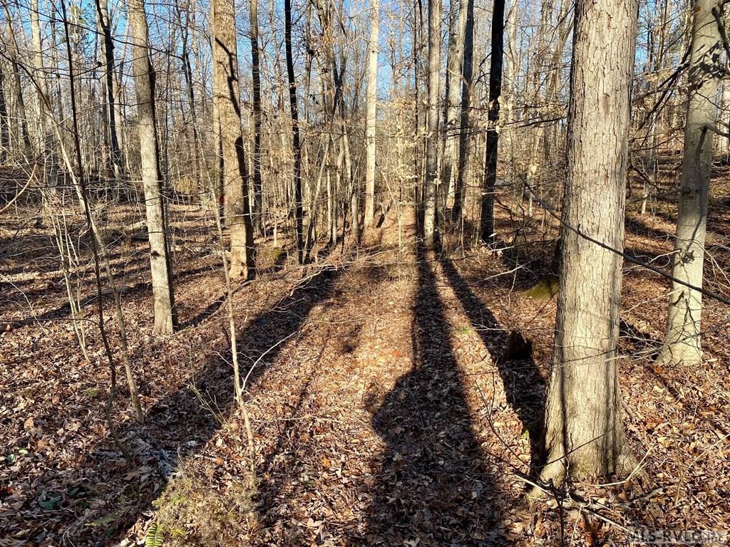 Residential Lot-Restricted at Lot 45 Buffalo Drive, Buffalo Junction VA 24529, photo 16 of 21