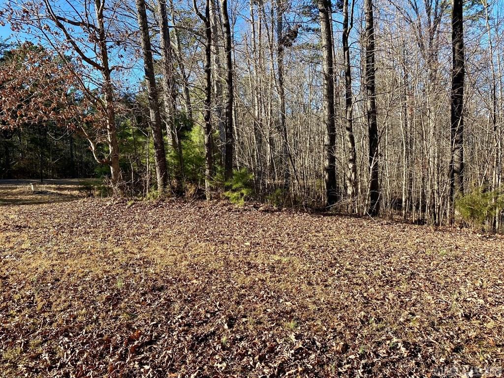 Long road frontage - Lot 45 Buffalo Drive, Buffalo Junction VA 24529