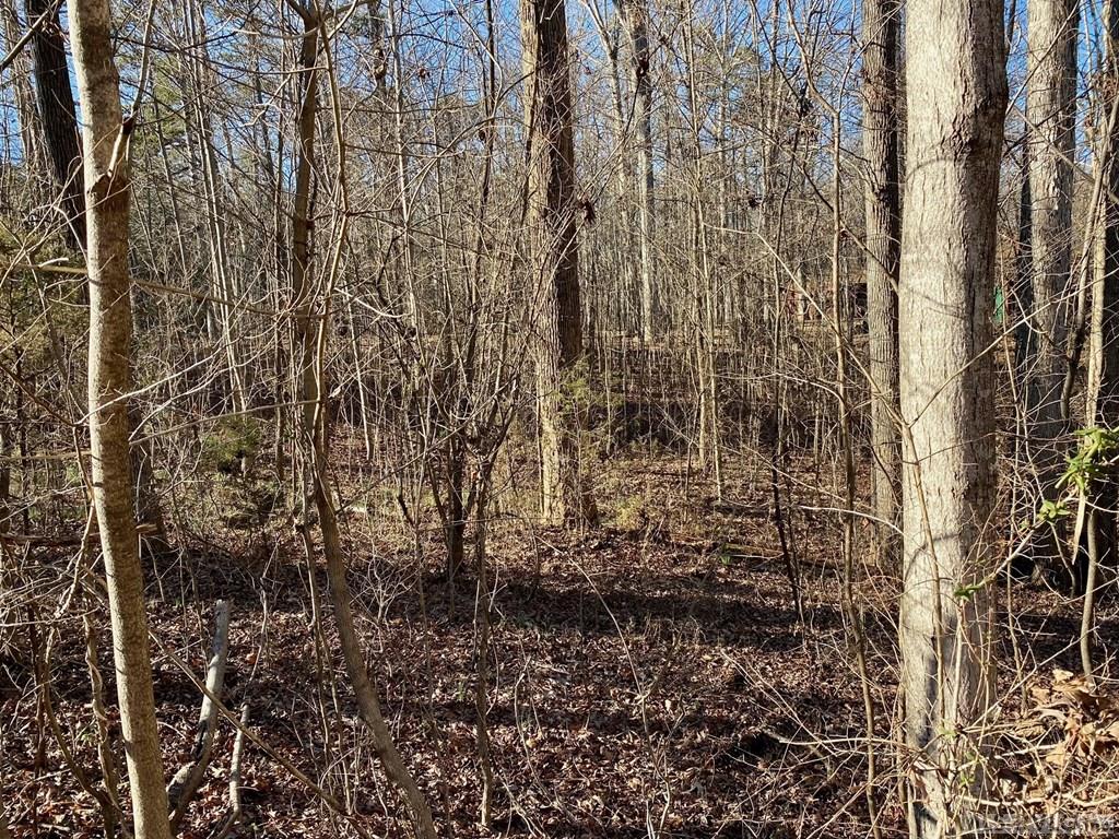 Residential Lot-Restricted at Lot 45 Buffalo Drive, Buffalo Junction VA 24529, photo 4 of 21