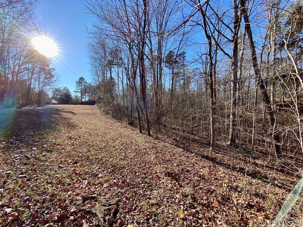 Residential Lot-Restricted at Lot 45 Buffalo Drive, Buffalo Junction VA 24529, photo 5 of 21