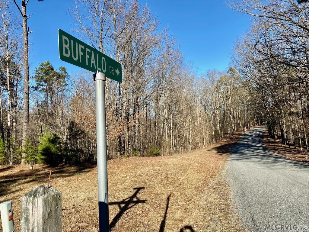 Residential Lot-Restricted at Lot 45 Buffalo Drive, Buffalo Junction VA 24529, photo 6 of 21