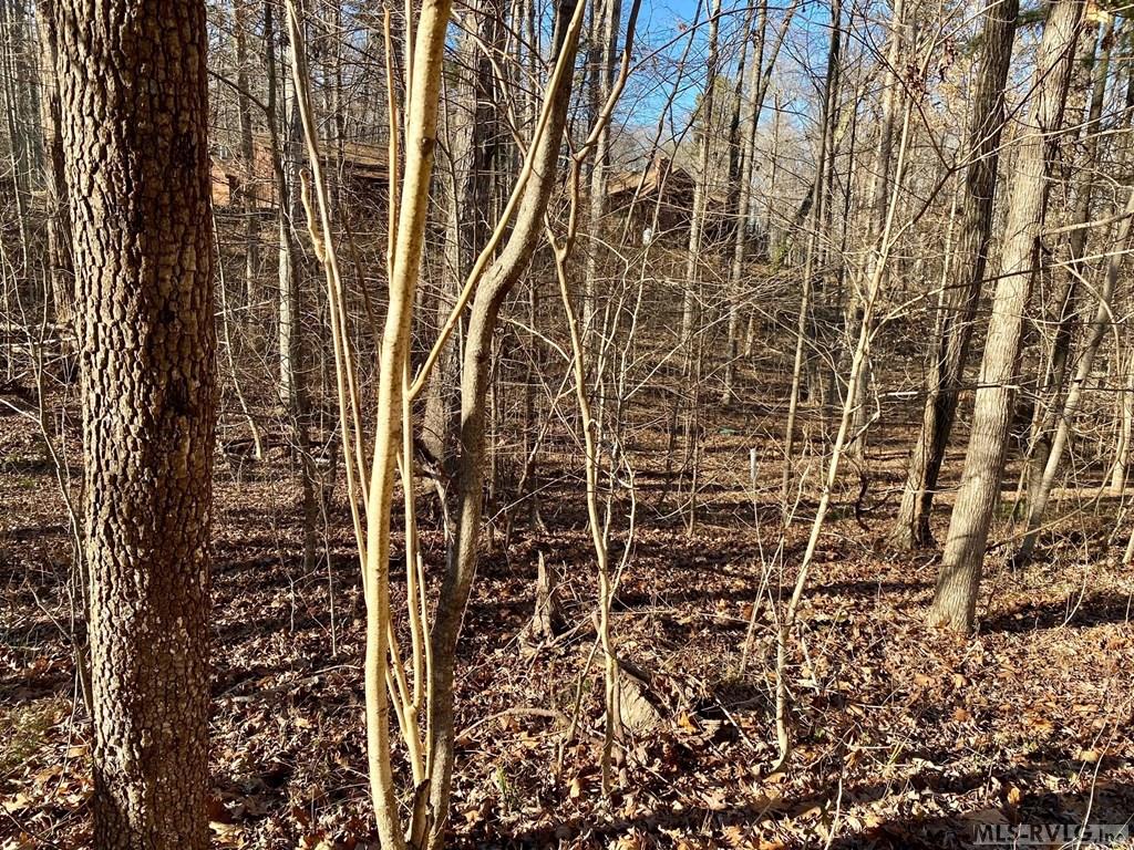 Residential Lot-Restricted at Lot 45 Buffalo Drive, Buffalo Junction VA 24529, photo 7 of 21