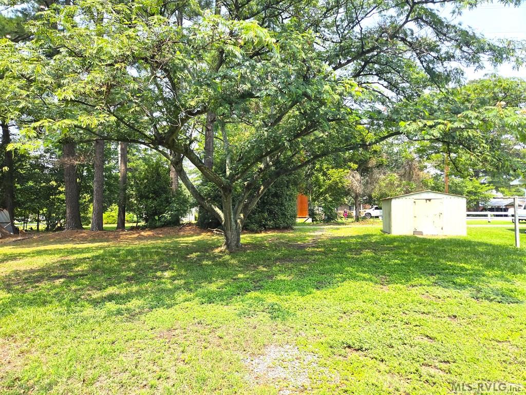 BACK YARD A - 829 Allen Avenue, Roanoke Rapids NC 27870