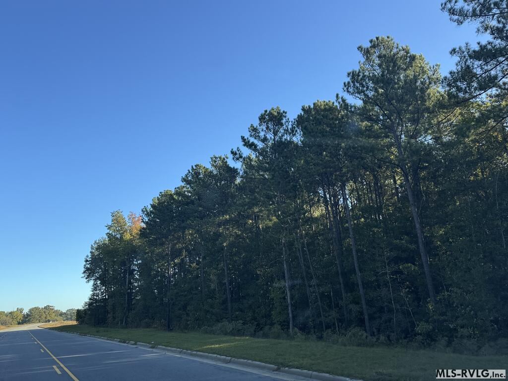Commercial at Lots 2&3 Premier Blvd Ext, Roanoke Rapids NC 27870, photo 3 of 6