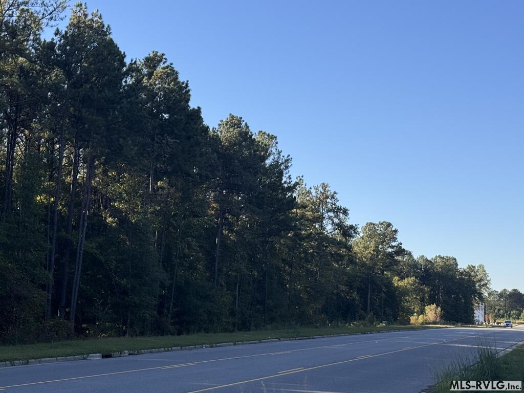 Commercial at Lots 2&3 Premier Blvd Ext, Roanoke Rapids NC 27870, photo 4 of 6